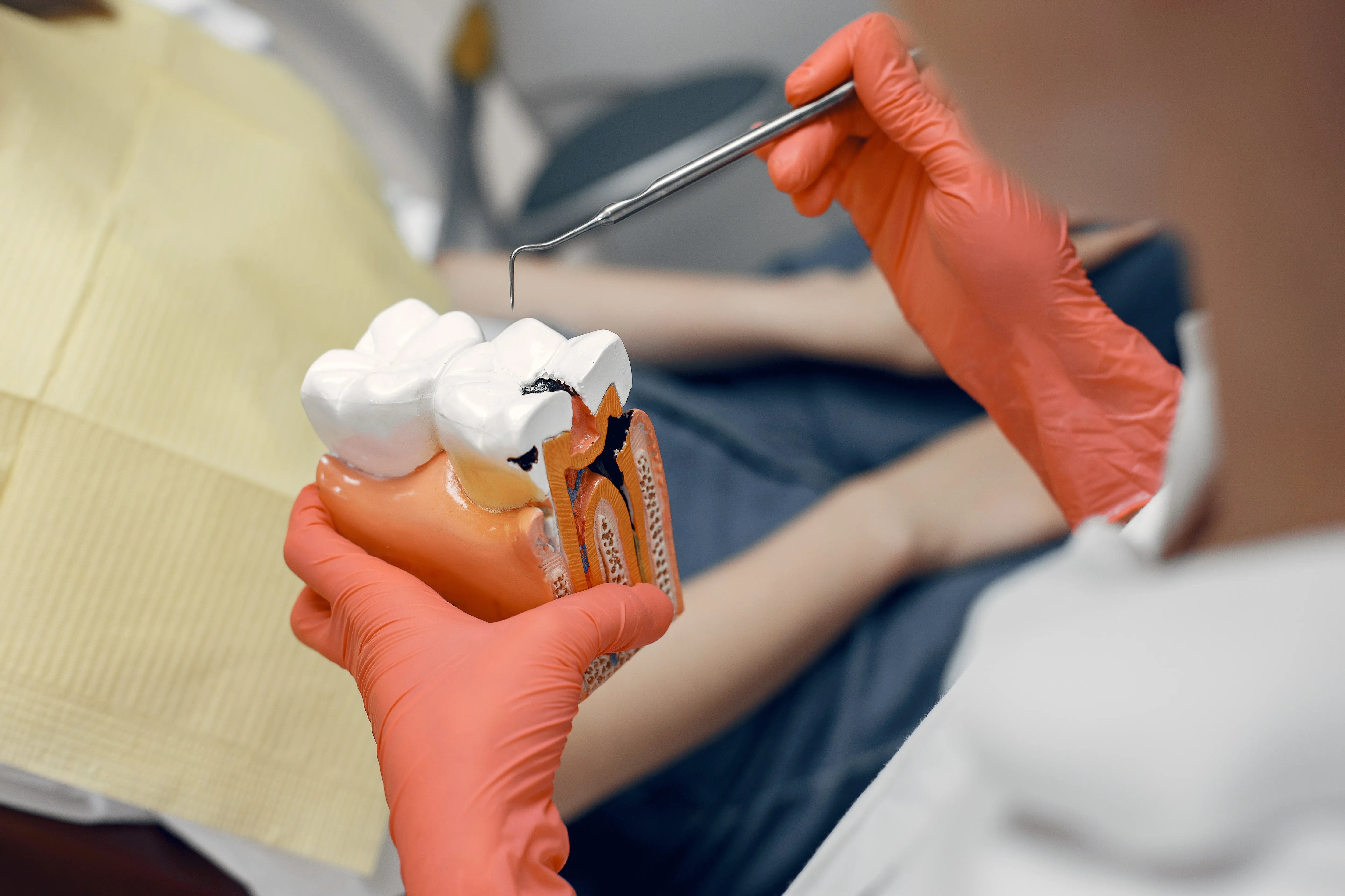 Endodontie